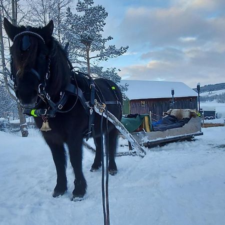 Fantgrenda Overnatting Leilighet Os (Hedmark) Eksteriør bilde