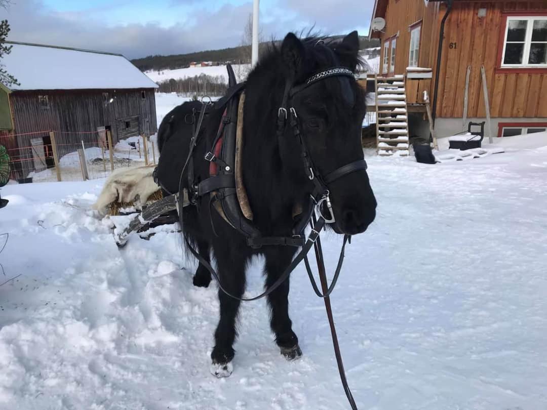 Fantgrenda Overnatting Leilighet Os (Hedmark) Eksteriør bilde