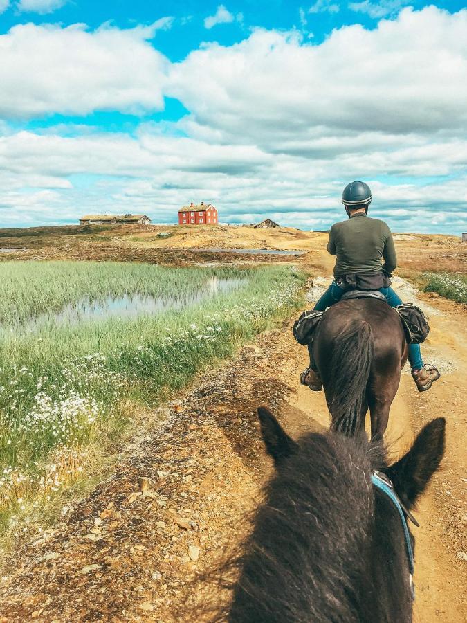 Fantgrenda Overnatting Leilighet Os (Hedmark) Eksteriør bilde