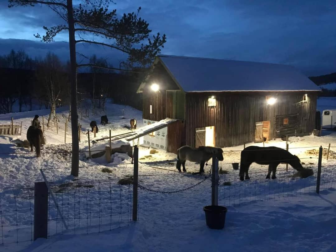 Fantgrenda Overnatting Leilighet Os (Hedmark) Eksteriør bilde