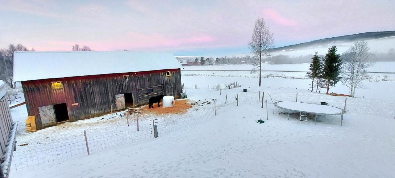Fantgrenda Overnatting Leilighet Os (Hedmark) Eksteriør bilde