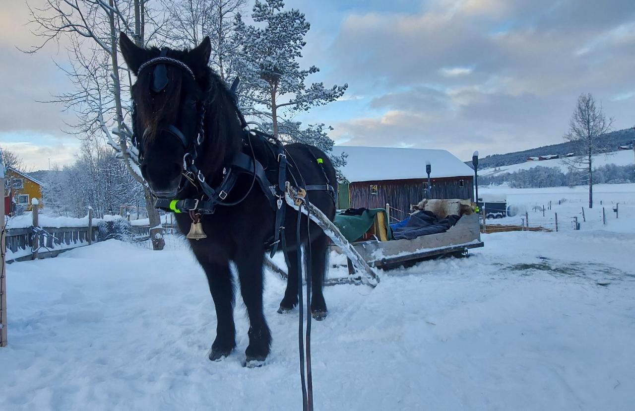 Fantgrenda Overnatting Leilighet Os (Hedmark) Eksteriør bilde