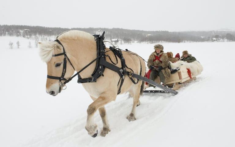 Fantgrenda Overnatting Leilighet Os (Hedmark) Eksteriør bilde